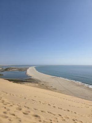Sandwich Harbour Tour